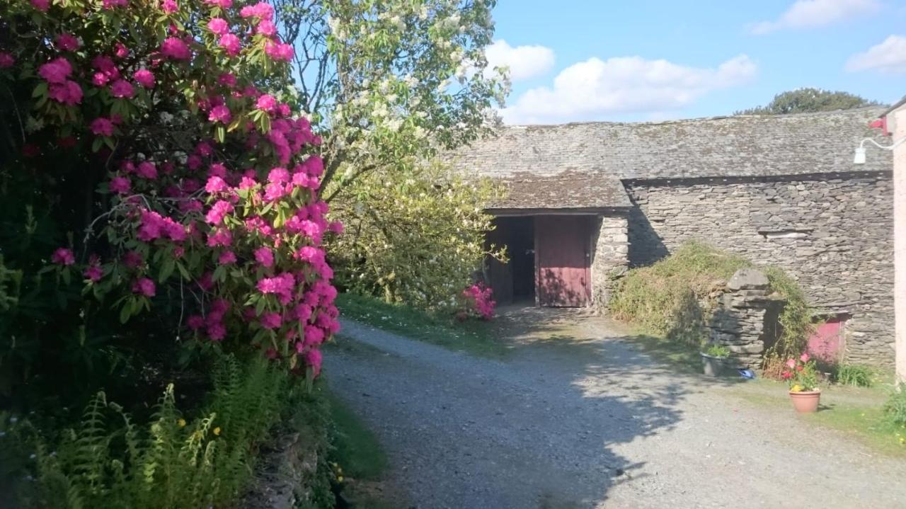 Low House Farm North, Troutbeck, Windermere Exterior foto